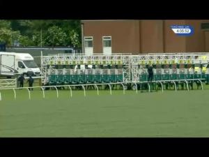 Video preview image for Thirsk 16:00 - Penelope Denny Over The Hill Handicap