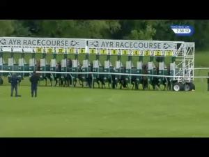 Video preview image for Ayr 19:55 - Bet With On Course Bookmakers Handicap