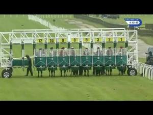 Video preview image for Wetherby 16:40 - Lakes Luxury Lodges At Far Grange Handicap