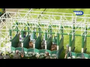 Video preview image for Hamilton Park 14:10 - Bb Foodservice Novice Auction Stakes (Plus 10)