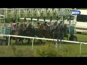 Video preview image for Hamilton Park 16:10 - Weatherbys Hamiltonian Handicap