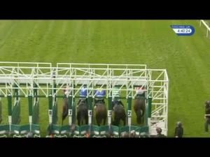 Video preview image for Hamilton Park 16:40 - Weatherbys Printing Services Handicap
