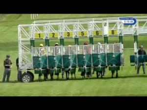 Video preview image for Hamilton Park 17:15 - Watch Racing UK In HD Apprentice Handicap