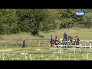Video preview image for Bangor-On-Dee 15:20 - Nicol Hughes Foodservice Handicap Hurdle