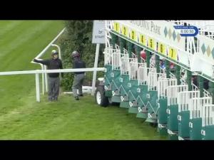 Video preview image for Sandown Park 18:00 - British Stallion Studs EBF Fillies' Novice Stakes (Plus 10)