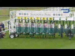 Video preview image for Sandown Park 18:30 - Clarendelle, Inspired By Haut-Brion Handicap