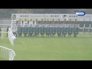 Video preview image for Sandown Park 19:00 - Rainbow Trust Children's Charity Handicap