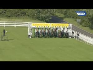 Video preview image for Goodwood 18:30 - Guncast Swimming Pools Handicap