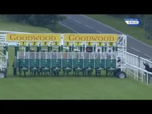 Video preview image for Goodwood 20:50 - Pete Tong Fillies' Handicap