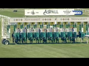 Video preview image for Newmarket 13:25 - Margaret Giffen Memorial EBF Novice Stakes (Plus 10) (Div 1)