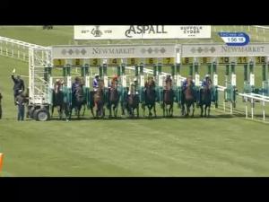Video preview image for Newmarket 13:55 - Margaret Giffen Memorial EBF Novice Stakes (Plus 10) (Div 2)
