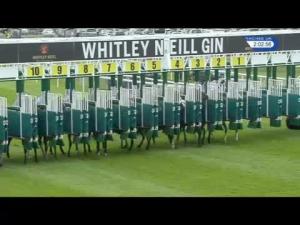 Video preview image for Chester 14:00 - Halewood Wines & Spirits Novice Median Auction Stakes (Plus 10)