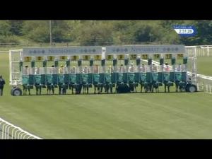 Video preview image for Newmarket 14:30 - Animal Health Trust Celebrating 75 Years Handicap