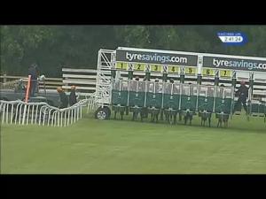 Video preview image for Beverley 14:40 - Brian Yeardley Continental Two Year Old Trophy Conditions Stakes (Plus 10)
