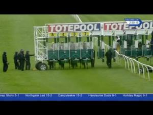 Video preview image for Catterick Bridge 14:50 - Toteexacta Pick The 1st and 2nd Classified Claiming Stakes
