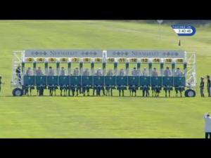 Video preview image for Newmarket 15:40 - John Sunley Memorial Handicap