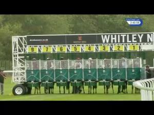 Video preview image for Chester 15:45 - Willow Water Handicap