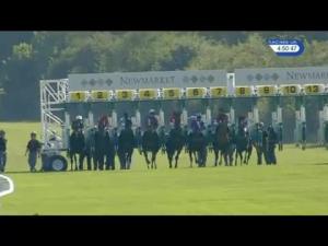 Video preview image for Newmarket 16:50 - Animal Health Trust Handicap