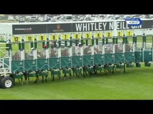Video preview image for Chester 16:55 - Whitley Neill Gin Handicap