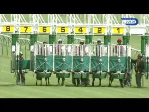 Video preview image for Nottingham 14:20 - bettinggods.com Betting Tipsters Handicap