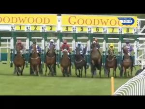 Video preview image for Goodwood 15:05 - Css Seismic Sweepstake Handicap