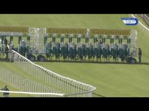 Video preview image for Goodwood 17:20 - Willexcell Consulting Supports The NSPCC Handicap
