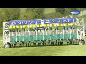 Video preview image for Salisbury 17:00 - Molson Coors Handicap