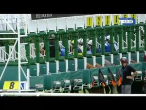 Video preview image for Haydock Park 16:30 - Tensational Saturdays At Haydock Park Handicap