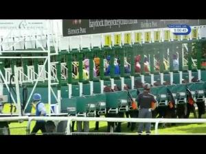 Video preview image for Haydock Park 17:00 - Tyldeseley Maiden Stakes