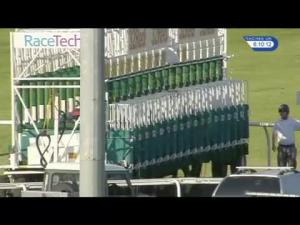 Video preview image for Kempton Park 18:10 - Follow racing_UK On Twitter Apprentice Handicap