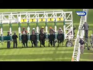 Video preview image for Hamilton Park 18:25 - Hamilton Audi Whistleberry Road Novice Auction Stakes
