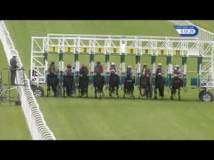 Video preview image for Hamilton Park 18:55 - Watch Racing UK In HD Handicap