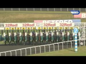 Video preview image for Kempton Park 19:10 - 32Red/british Stallion Studs EBF Maiden Stakes