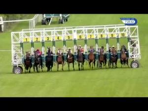 Video preview image for Hamilton Park 19:25 - Hamilton Audi 2nd Anniversary Celebration Handicap