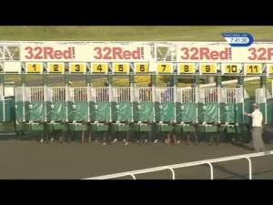 Video preview image for Kempton Park 19:40 - 32Red On The App Store Handicap