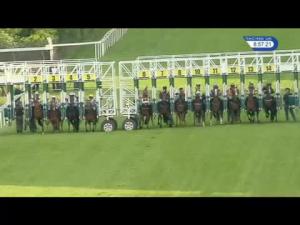 Video preview image for Hamilton Park 20:55 - Auchinraith Handicap