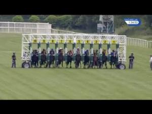 Video preview image for Newbury 13:30 - Be Wiser Insurance Novice Stakes (Plus 10) (Div 1)