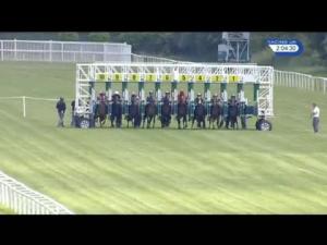 Video preview image for Newbury 14:00 - Be Wiser Insurance Novice Stakes (Plus 10) (Div 2)