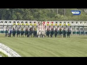 Video preview image for Newbury 14:30 - Crossland EBF Stallions Maiden Fillies' Stakes (Plus 10) (Str)