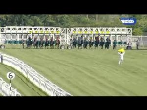 Video preview image for Newbury 15:40 - Comax Handicap (Str)