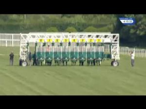 Video preview image for Newbury 16:15 - Be Wiser Insurance 'Confined' Handicap