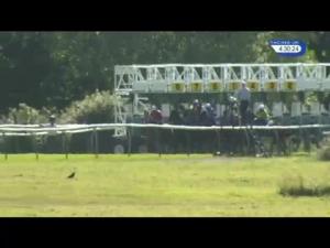 Video preview image for Nottingham 16:30 - Myracingtips Follow Now On Twitter Fillies' Handicap (Qualifier)