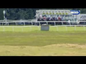 Video preview image for Newbury 16:50 - Insure Wiser Handicap