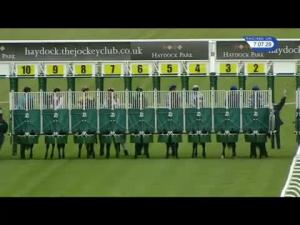 Video preview image for Haydock Park 19:05 - Norman and His Swifts Novice Stakes (Plus 10)