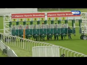 Video preview image for York 13:50 - Coopers Marquees British EBF Novice Stakes (Plus 10)