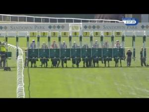 Video preview image for Sandown Park 14:35 - ebfstallions.com Judy Maynard 'Hello Darling' Maiden Stakes