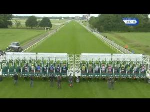 Video preview image for York 14:55 - Skf Rous Selling Stakes