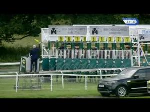 Video preview image for York 16:40 - Irish Thoroughbred Marketing Handicap