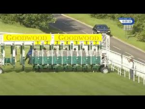 Video preview image for Goodwood 18:05 - Federation Of Bloodstock Agents Novice Auction Stakes (Plus 10)