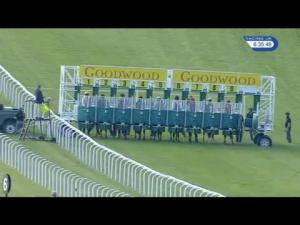 Video preview image for Goodwood 18:35 - Layla's 40th Birthday Apprentice Handicap